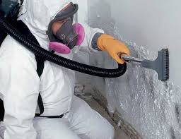 Trusted Riviera Beach, FL Mold Removal & Remediation Experts